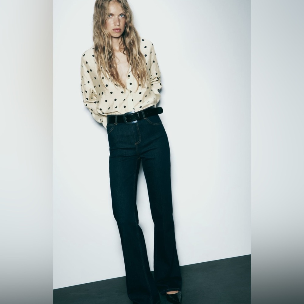Zara polka dot button up shirt